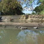 Haití abre canal de Juana Méndez y baja el caudal del río Masacre