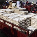 Cuba aumentaría importación de huevos y pollos desde la RD